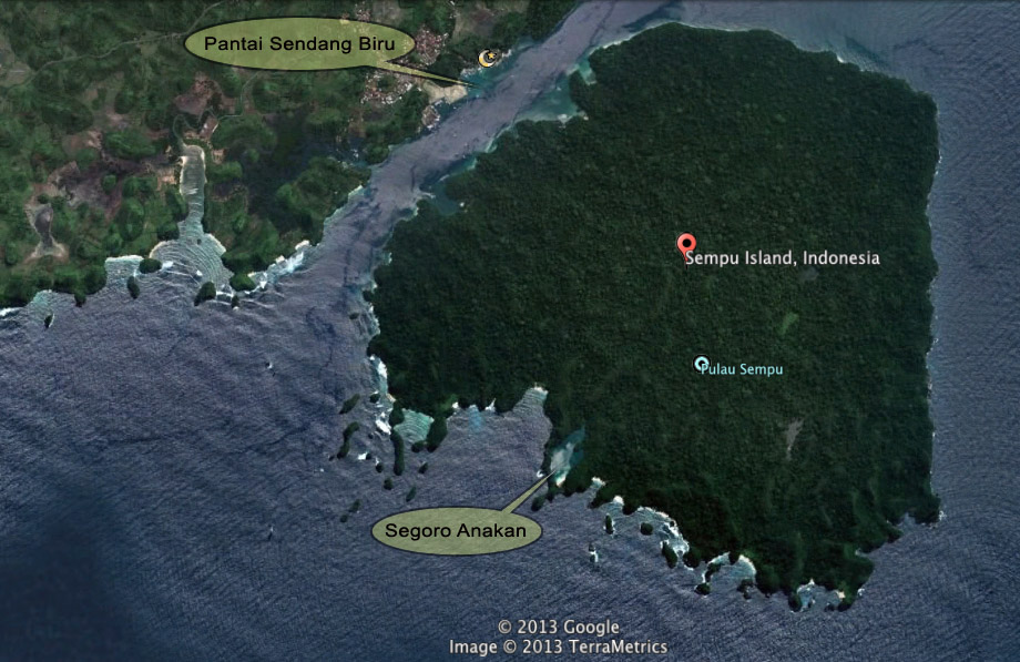 Google island